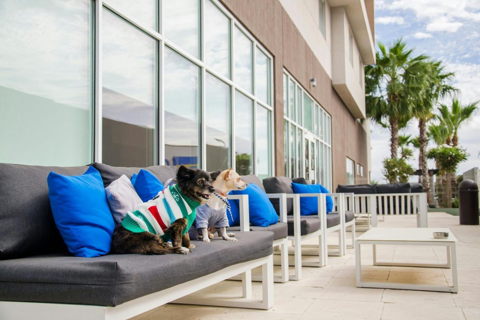Courtyard By Marriott Hermosillo Extérieur photo